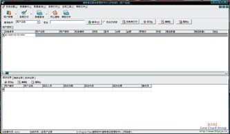 维特售后服务管理软件2.1网络版破解版 技术、风险与正版价值的探讨